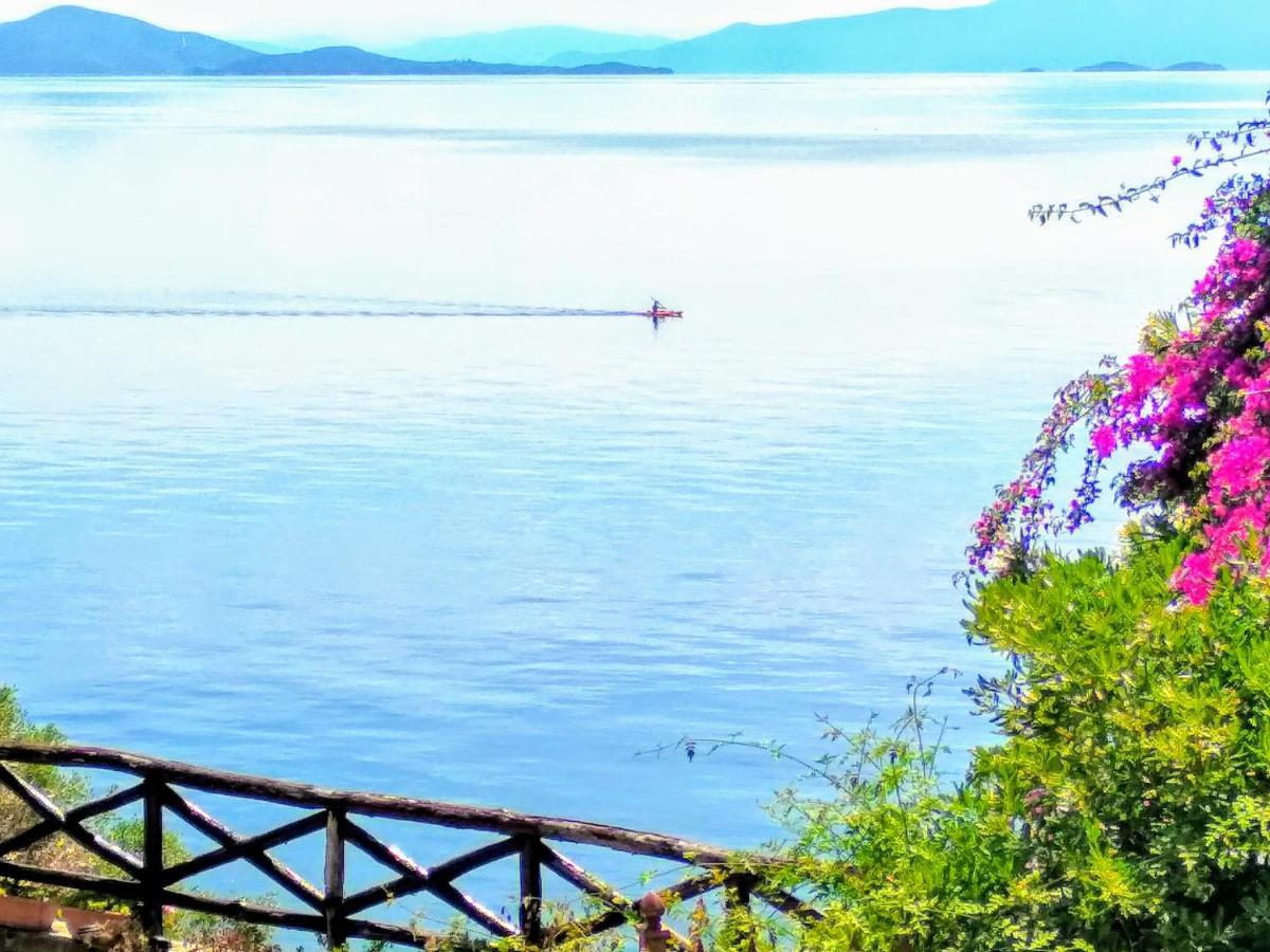 Pelion Seaside Luxury House Lejlighed Afissos Eksteriør billede